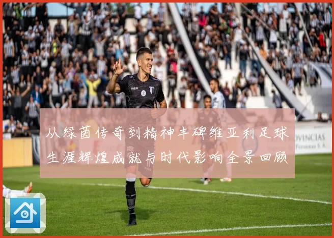 从绿茵传奇到精神丰碑维亚利足球生涯辉煌成就与时代影响全景回顾