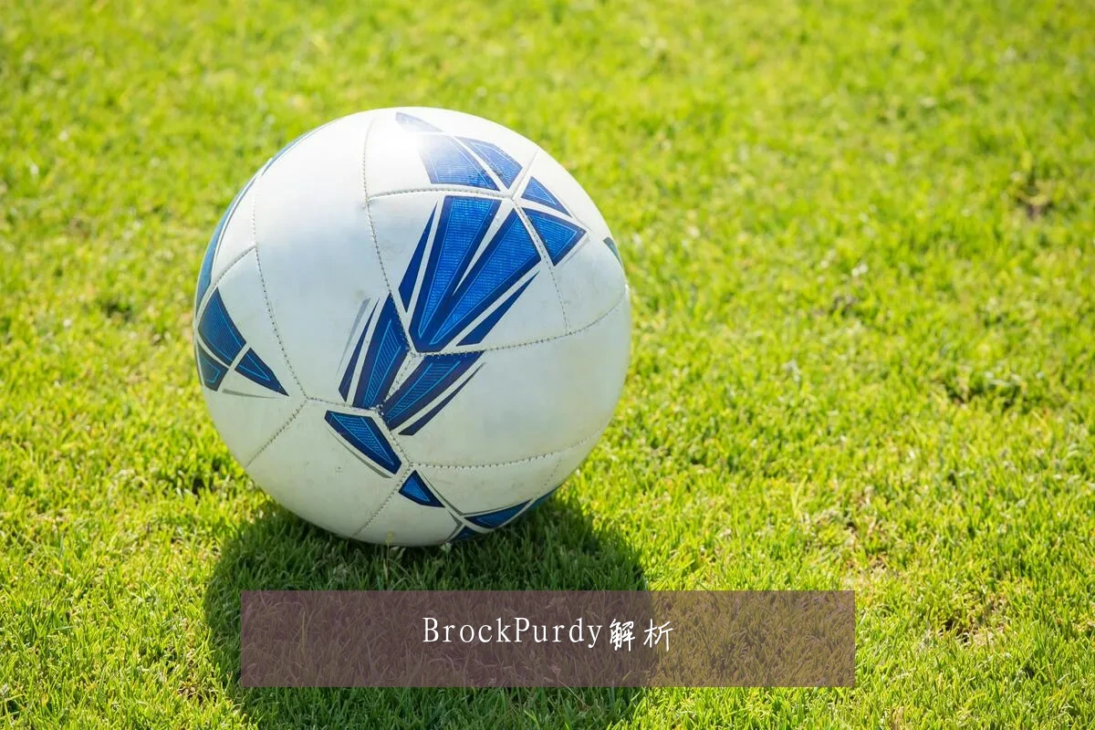 BrockPurdy解析