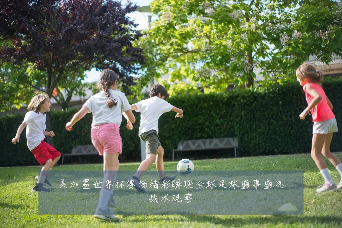 美加墨世界杯赛场精彩瞬现全球足球盛事盛况战术观察